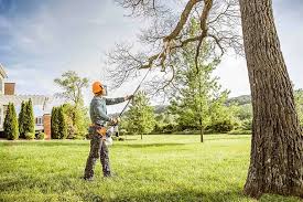 Best Tree Preservation Services  in Horace, ND